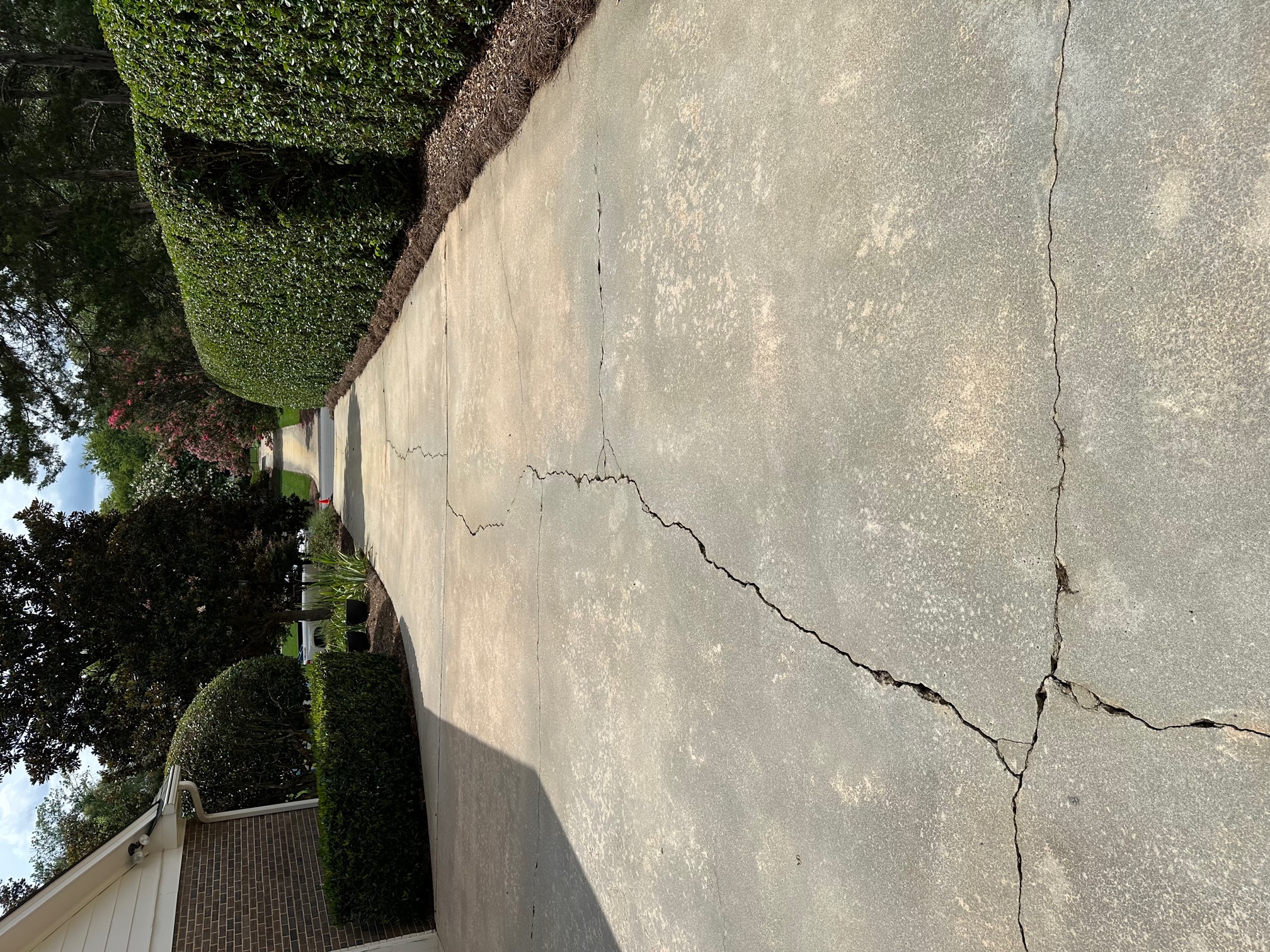Driveway and concrete cleaning (1) Thumbnail